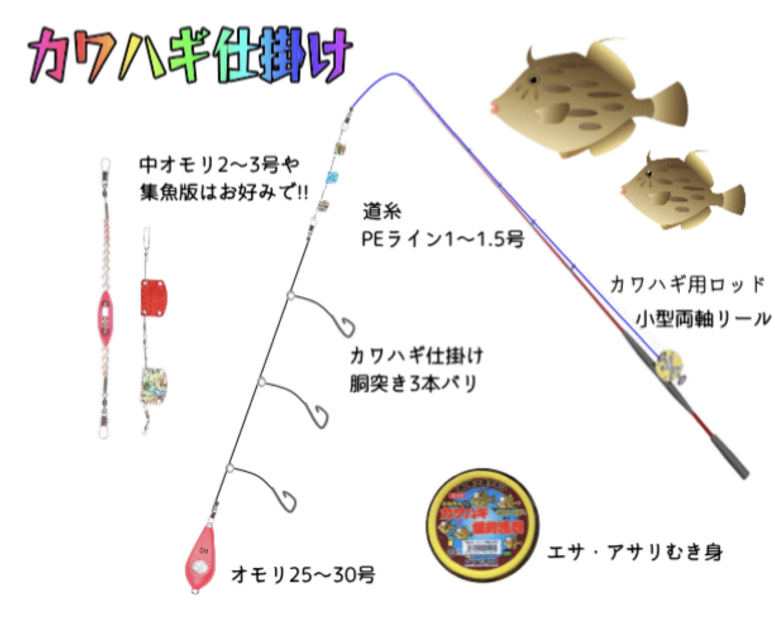 仕掛け | 仕掛け図 — 保田港『国丸』